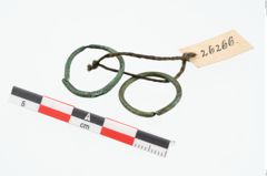 Foto von Bronzering (NHMW-PRAE-026266)